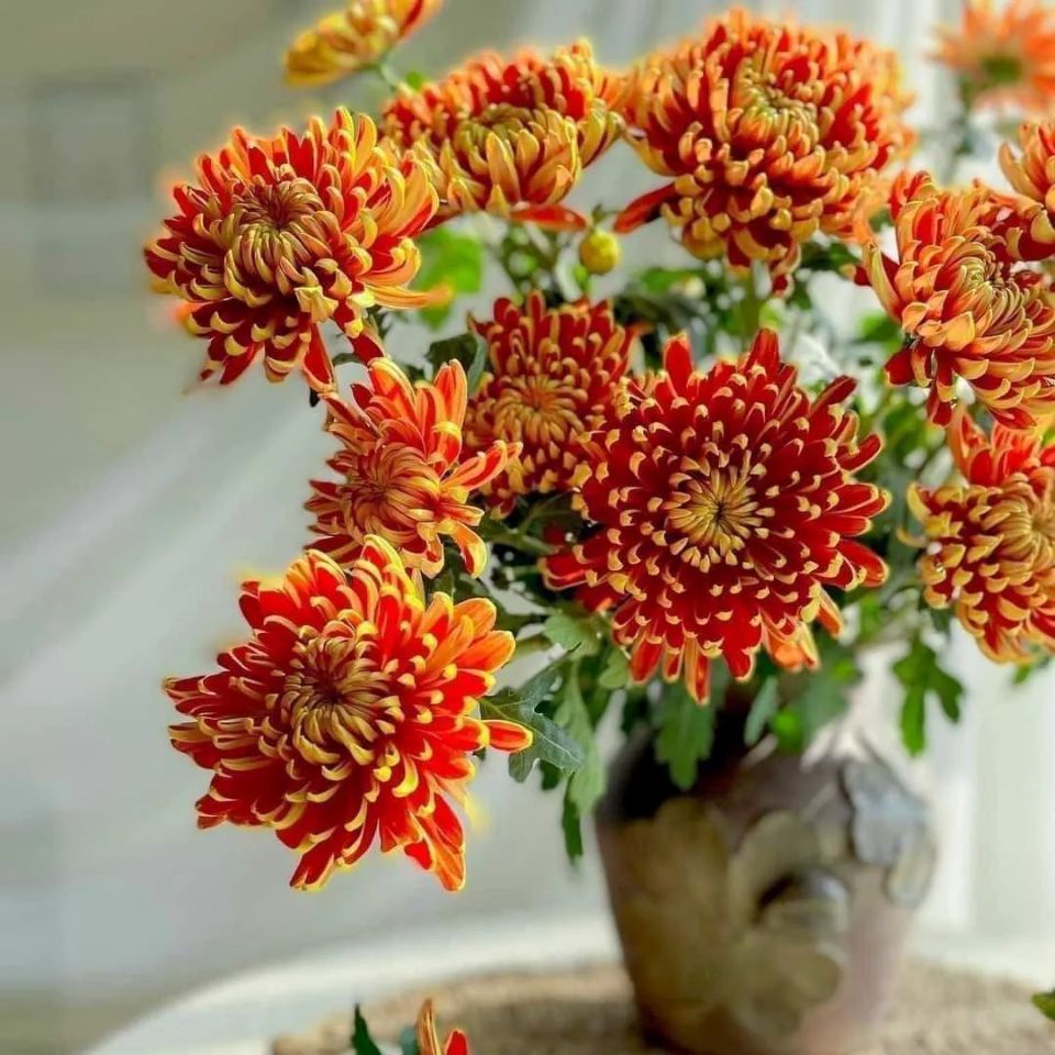 Tử vi ngày 24/10/2025 của 12 cung hoàng đạo: Song Ngư tình duyên trắc trở