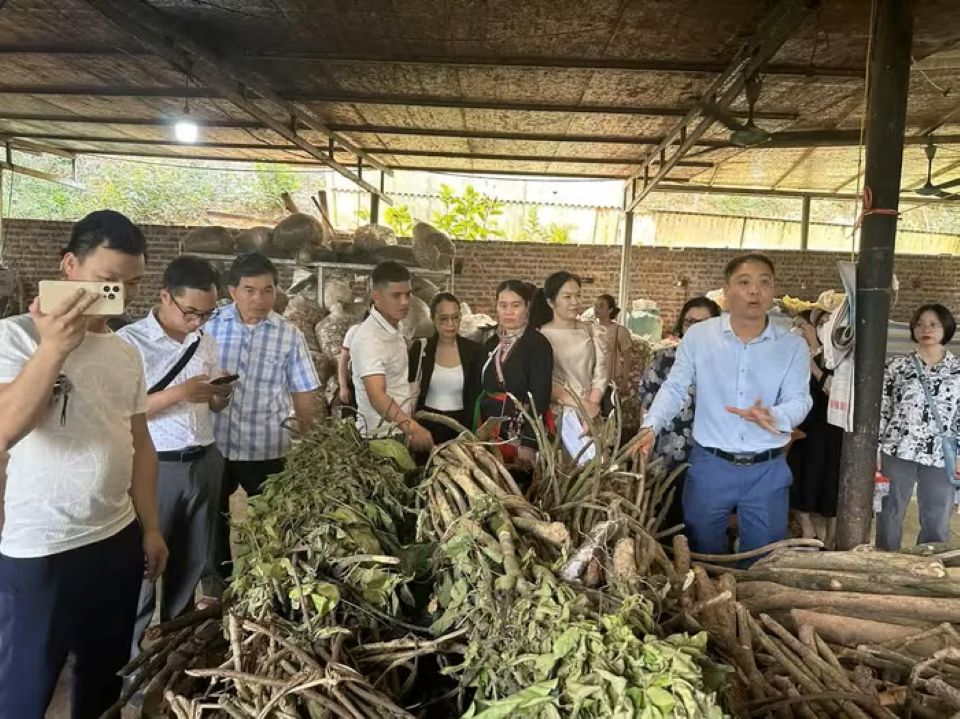 Du lịch Việt 'khát' nhân lực
