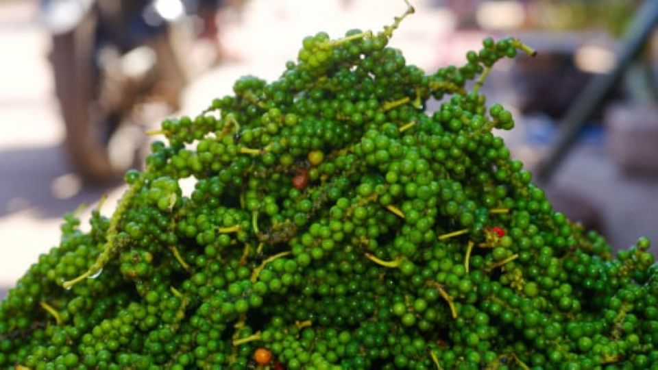 Giá nông sản ngày 30/10/2025: Cà phê và hồ tiêu cùng bật tăng