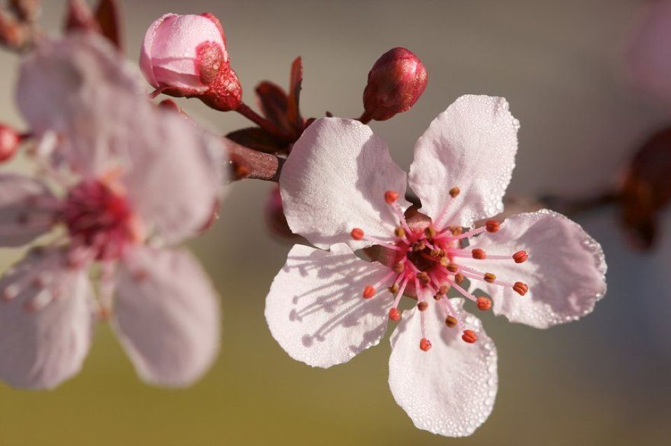 Tử vi ngày 6/11/2025 của 12 cung hoàng đạo: Nhân Mã cần quyết đoán hơn trong công việc