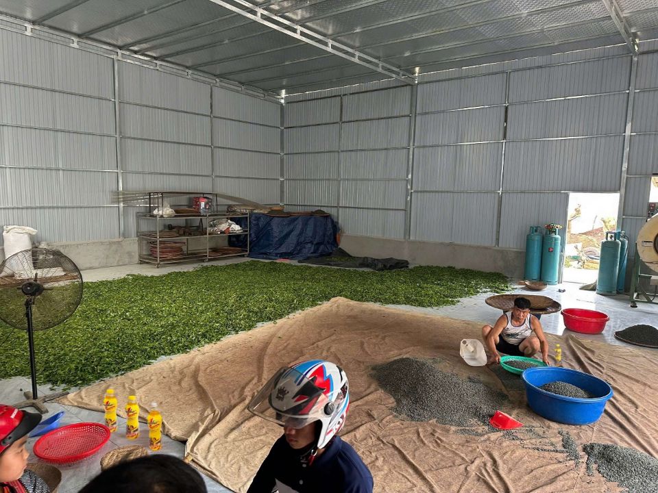 Giữa mây trắng Tủa Chùa, cô gái trẻ viết nên hành trình “bền đam mê” để trở thành phiên bản Number 1 của chính mình