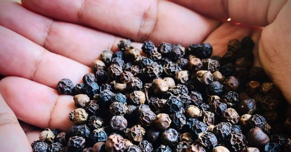 Giá nông sản ngày 16/11/2025: Cà phê tiếp tục giảm mạnh