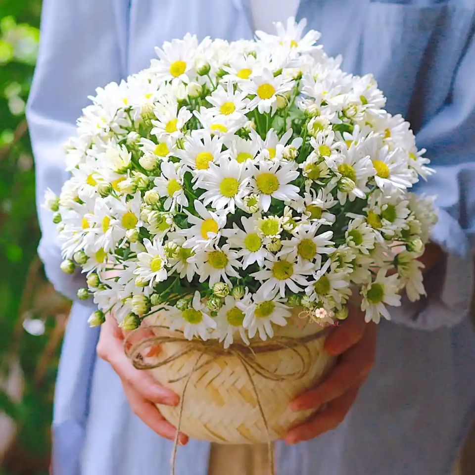 Tử vi ngày 17/11/2025 của 12 cung hoàng đạo: Thiên Bình tình hình tài chính ổn định