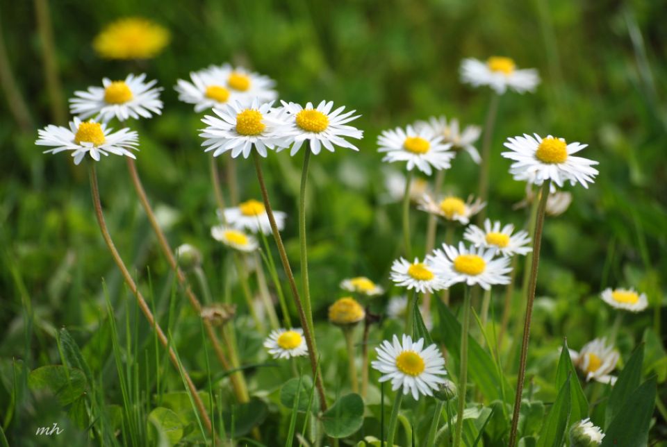 Tử vi ngày 20/11/2025 của 12 cung hoàng đạo: Ma Kết có nhiều tin vui về tài chính