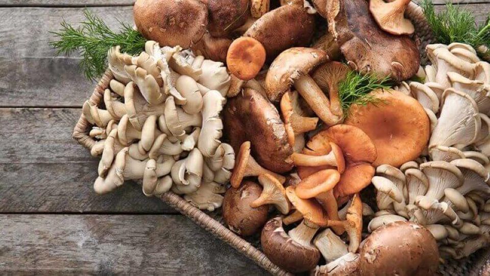 Top thực phẩm giàu kẽm giúp nâng cao miễn dịch