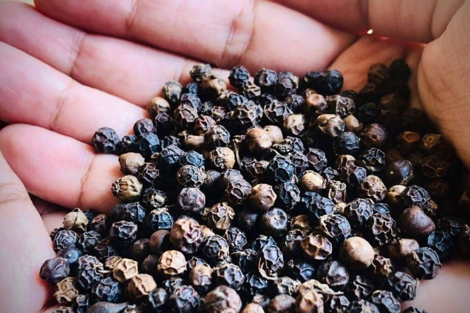 Giá nông sản ngày 23/11/2025: Cà phê giảm mạnh, hồ tiêu tăng nhẹ