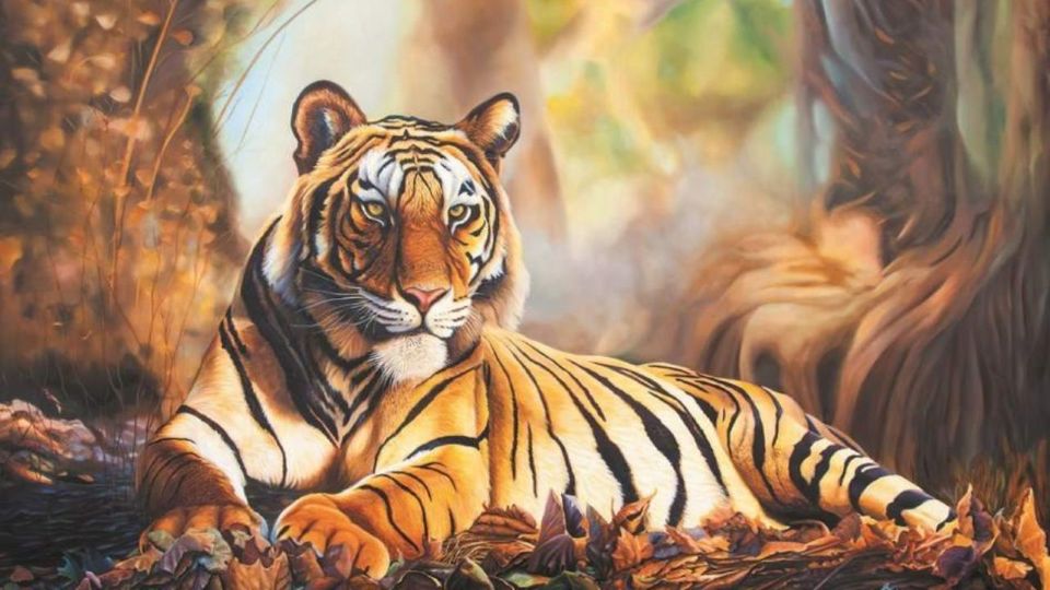 Con số may mắn tài lộc ngày 26/11/2025 của 12 con giáp