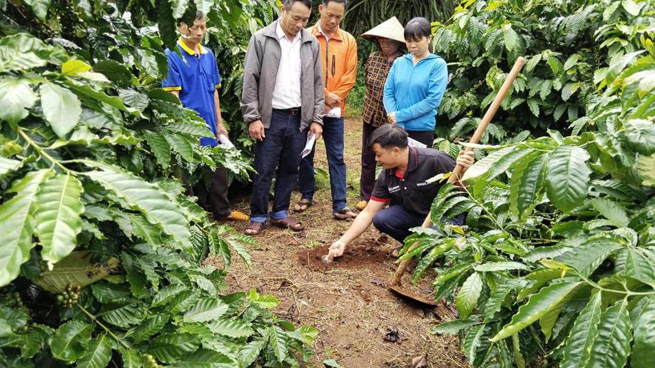 Hợp tác thúc đẩy tăng trưởng bền vững và hiện thực hóa mục tiêu Net Zero tại Việt Nam