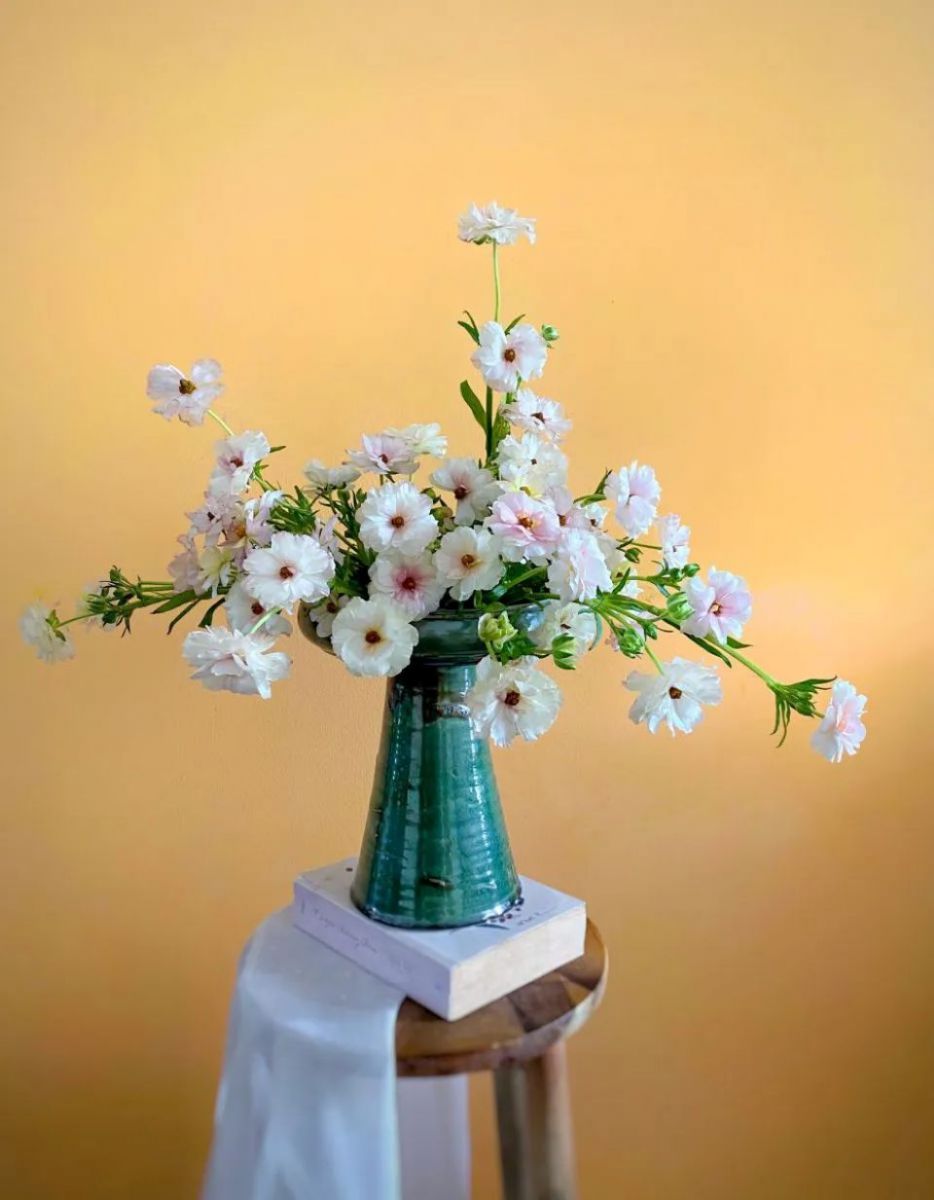 Tử vi ngày 30/11/2025 của 12 cung hoàng đạo: Song Ngư tài chính không ổn định