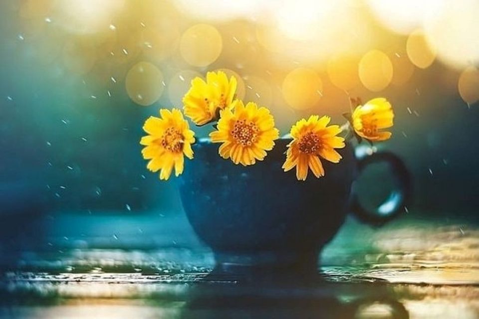 Tử vi ngày 2/12/2025 của 12 cung hoàng đạo: Thiên Bình cần chú ý nghỉ ngơi