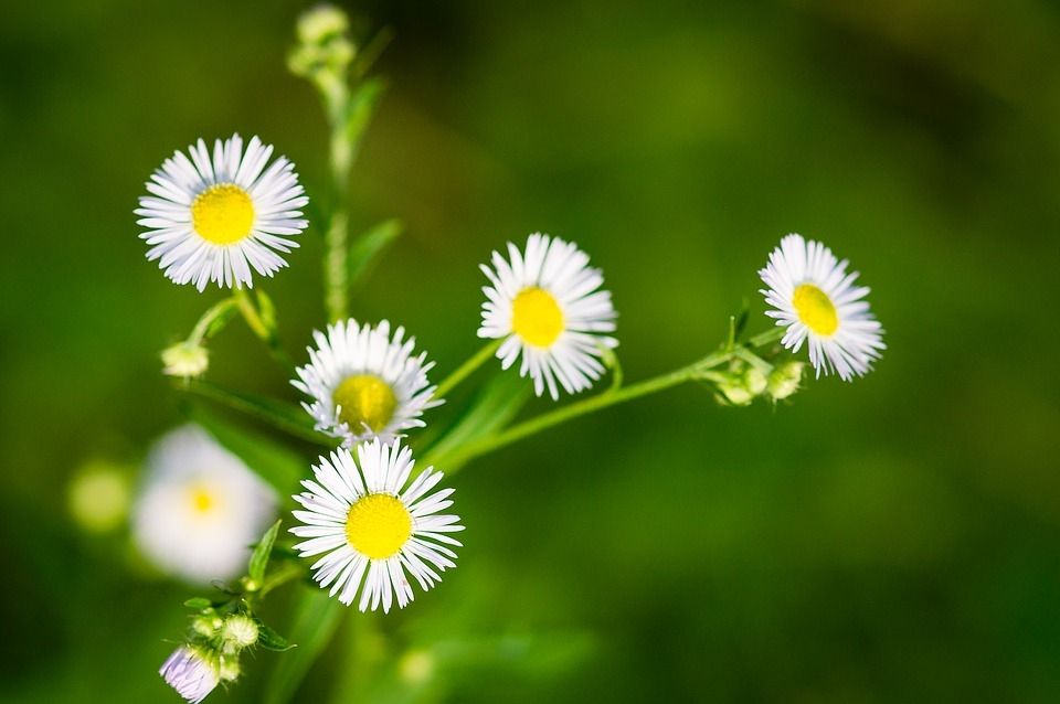 Tử vi ngày 2/12/2025 của 12 cung hoàng đạo: Thiên Bình cần chú ý nghỉ ngơi