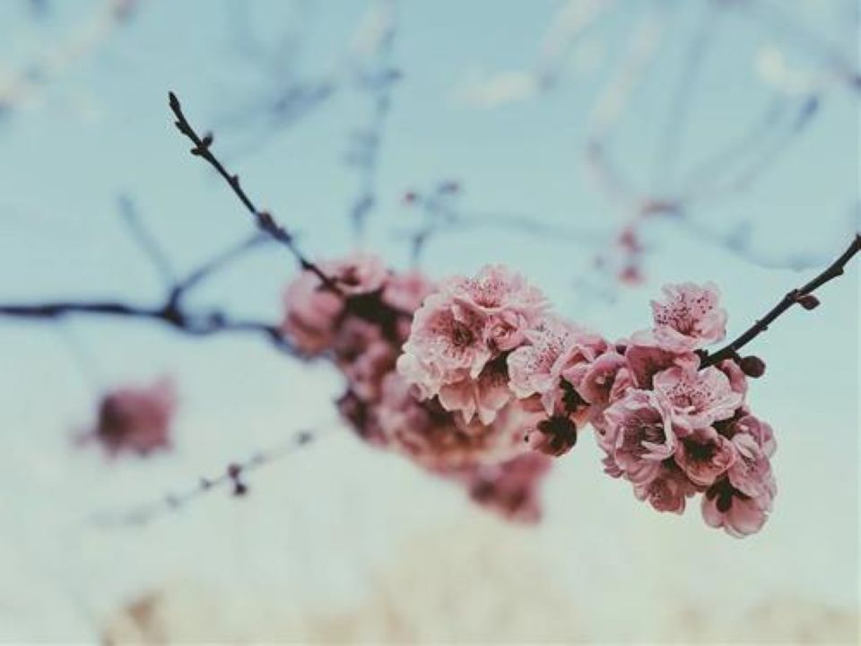 Tử vi ngày 3/12/2025 của 12 cung hoàng đạo: Chuyện tình cảm của Song Tử khá tốt