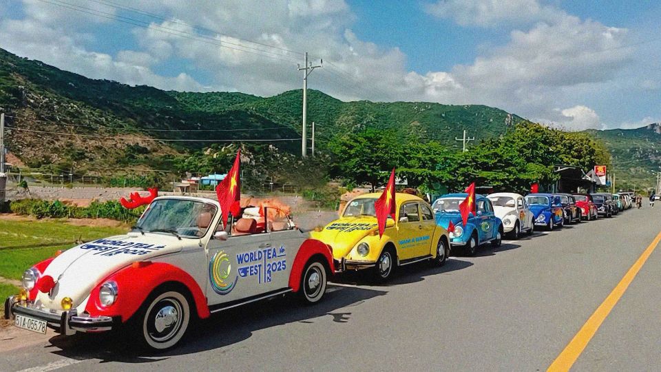 Dàn sao "khủng" và 80 nhan sắc Miss Cosmo quốc tế sắp đổ bộ tại Lâm Đồng