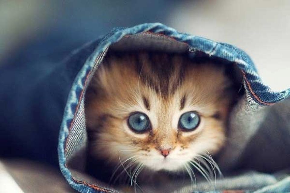 Tử vi ngày 4/12/2025 của 12 cung hoàng đạo: Bảo Bình tài chính ổn định