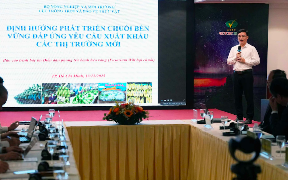 Đột phá giải pháp phòng trừ bệnh héo vàng, nâng tầm ngành chuối Việt Nam