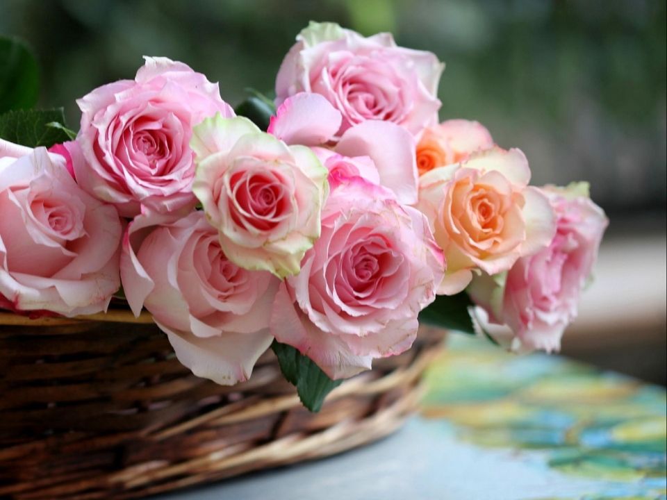 Tử vi ngày 17/12/2025 của 12 cung hoàng đạo: Song Tử tài chính chưa có khởi sắc mới