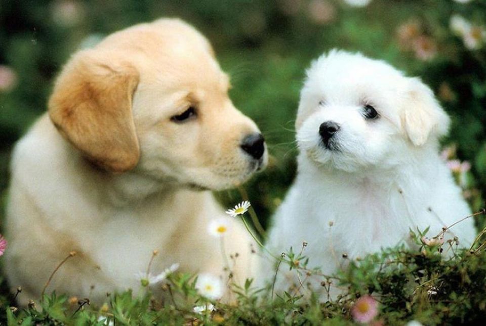 Con số may mắn tài lộc ngày 18/12/2025 của 12 con giáp