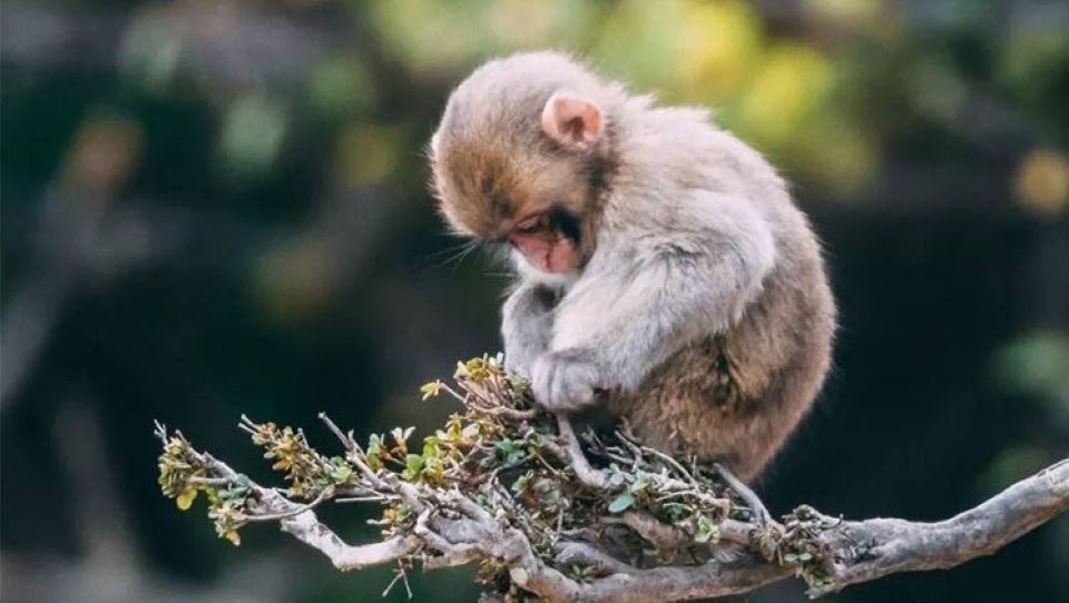 Con số may mắn tài lộc ngày 19/12/2025 của 12 con giáp