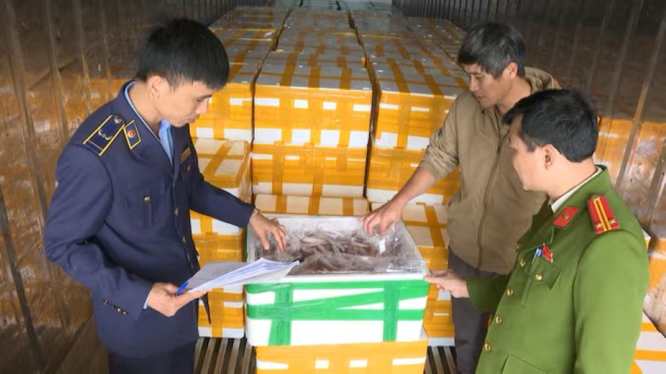 Thanh Hóa: Phát hiện hơn 10 tấn cá khoai ướp chất cấm Formol nhập từ Trung Quốc