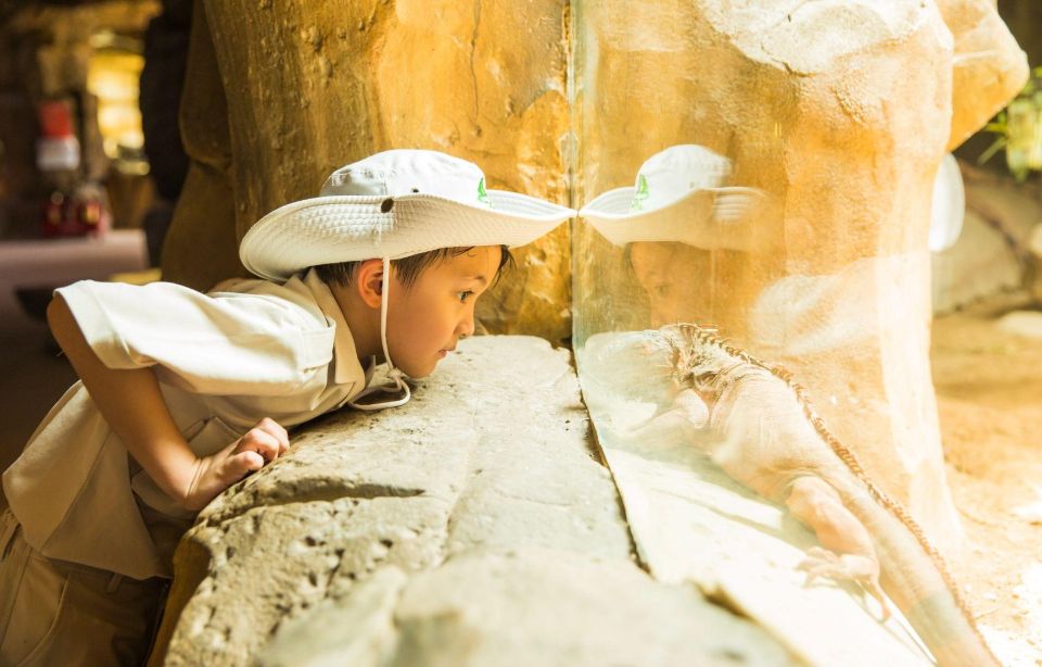 10 năm Vinpearl Safari Phú Quốc: Dấu ấn tiên phong của safari bán hoang dã đầu tiên tại Việt Nam