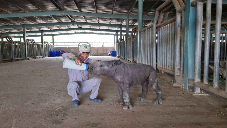 10 năm Vinpearl Safari Phú Quốc: Dấu ấn tiên phong của safari bán hoang dã đầu tiên tại Việt Nam