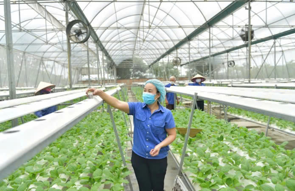 Bình Điền Mekong: Giải pháp dinh dưỡng toàn diện cho nền nông nghiệp đô thị xanh