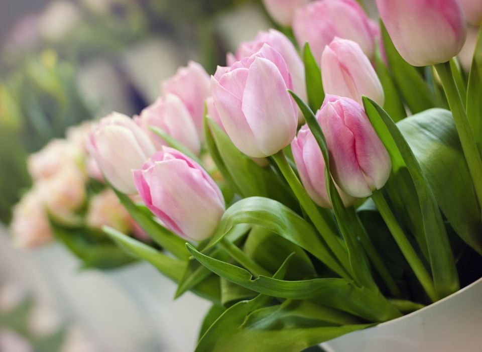 Tử vi ngày 2/1/2026 của 12 cung hoàng đạo: Ma Kết công việc gặp nhiều khó khăn