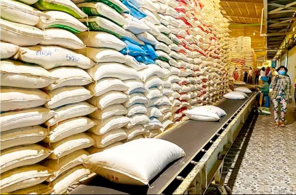 Từ xanh hóa sản xuất đến nâng cao lợi thế cạnh tranh cho hạt gạo Việt