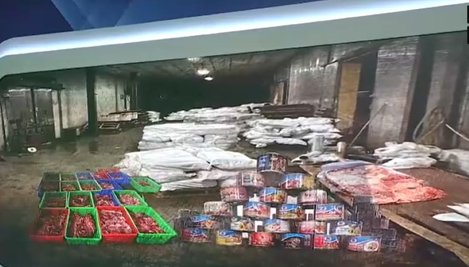 Triệt phá đường dây tuồn hơn 120 tấn thịt lợn nhiễm dịch tả châu Phi vào Công ty CP Đồ hộp Hạ Long