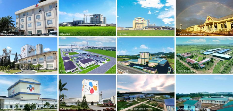 Thanh tra Chính phủ lên kế hoạch thanh tra C.P. Việt Nam, CJ Vina Agri và Japfa Comfeed