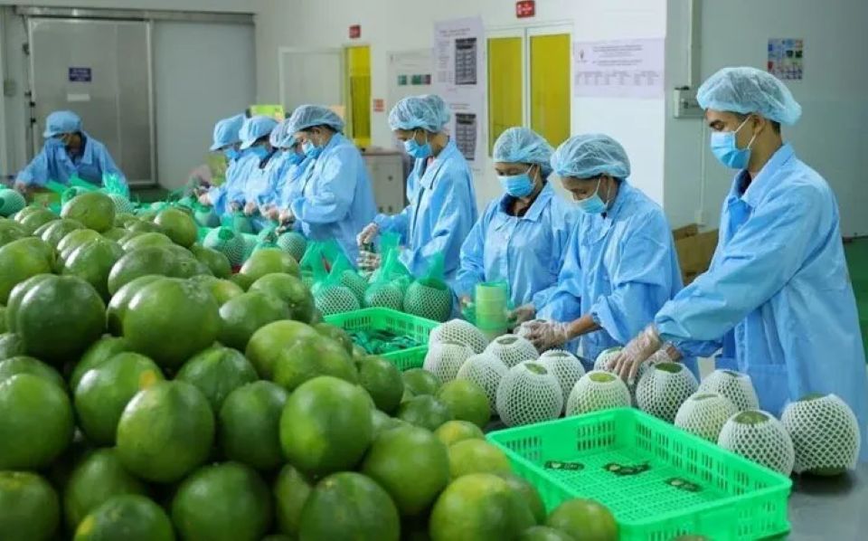 Nông nghiệp khẳng định vai trò “trụ đỡ” của nền kinh tế