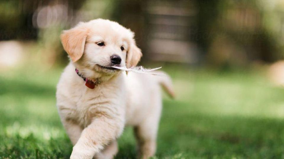 Con số may mắn tài lộc ngày 16/1/2026 của 12 con giáp