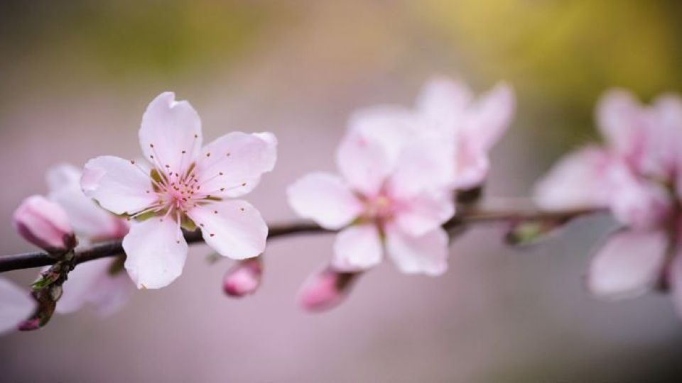 Tử vi ngày 20/1/2026 của 12 cung hoàng đạo: Tài chính của Nhân Mã rất dồi dào và may mắn