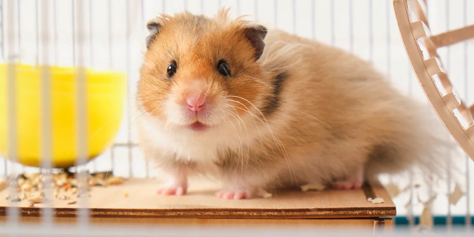 Con số may mắn tài lộc ngày 23/1/2026 của 12 con giáp