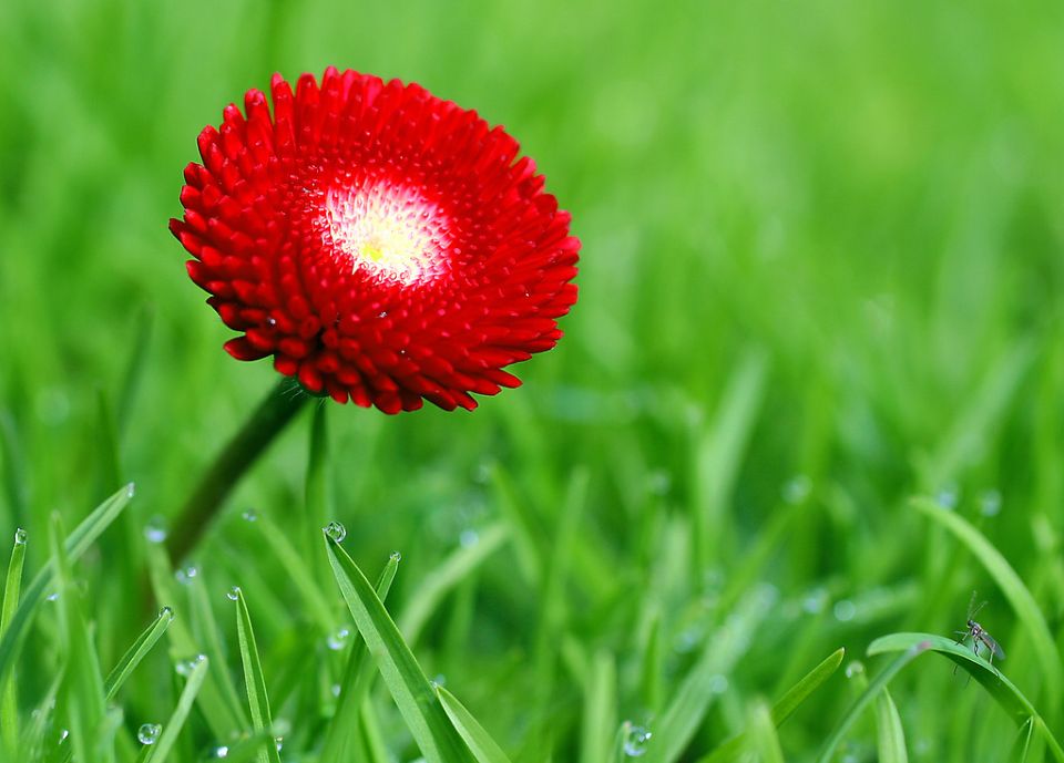 Tử vi ngày 24/1/2026 của 12 cung hoàng đạo: Bảo Bình gặp nhiều may mắn 