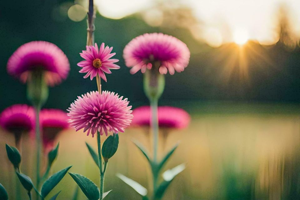 Tử vi ngày 24/1/2026 của 12 cung hoàng đạo: Bảo Bình gặp nhiều may mắn 