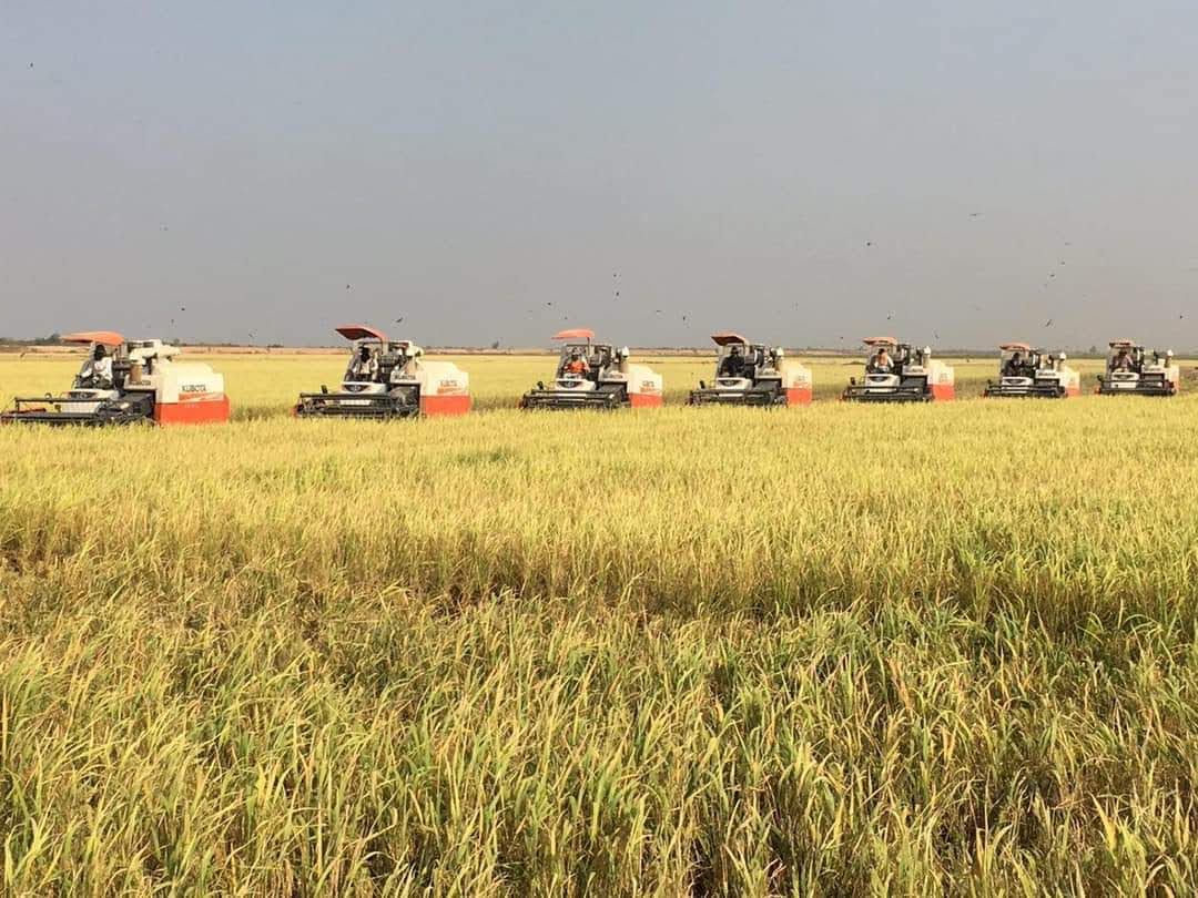 Nông nghiệp Việt Nam: Từ thiếu ăn đến trụ cột xuất khẩu