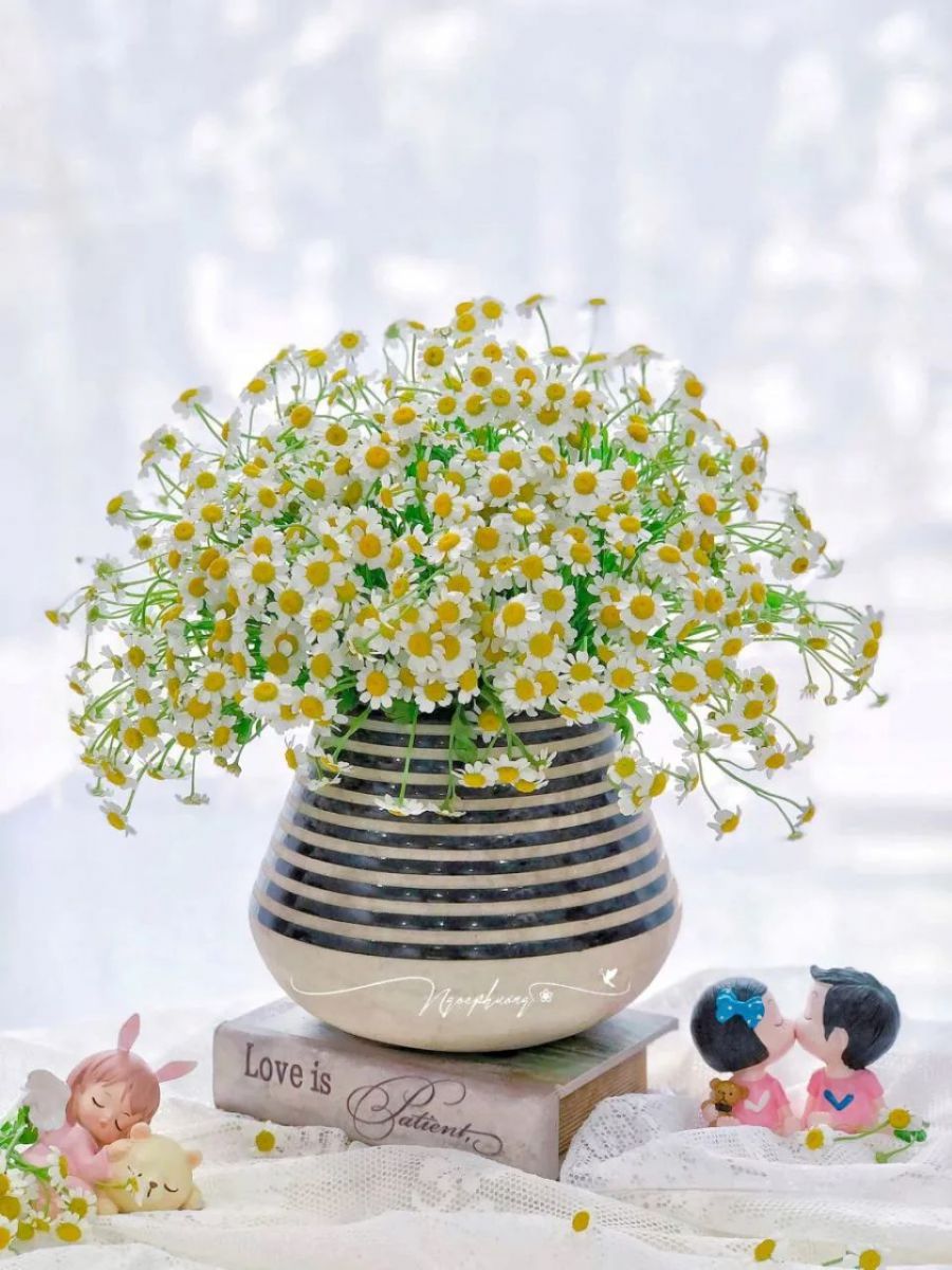 Tử vi ngày 25/1/2026 của 12 cung hoàng đạo: Sức khỏe của Sư Tử khá tốt