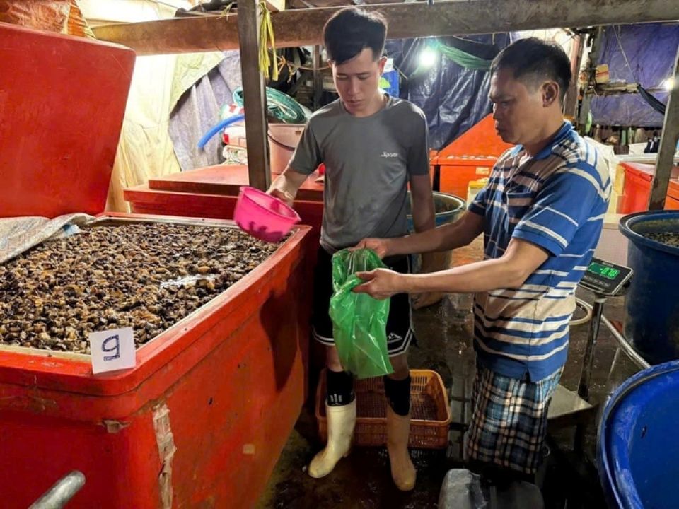 Triệt phá đường dây sơ chế, tiêu thụ thịt ốc bươu ngâm hóa chất công nghiệp với quy mô lớn