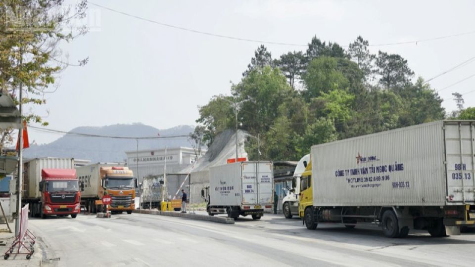 Nguy cơ tê liệt thông quan thực phẩm nhập khẩu do vướng quy định mới