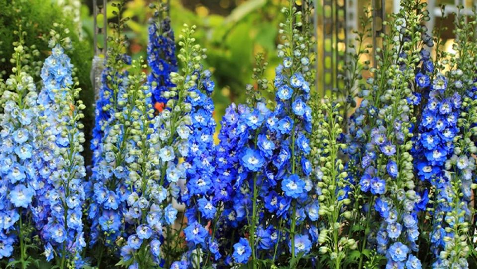 Tử vi ngày 2/2/2026 của 12 cung hoàng đạo: Song Ngư tài lộc có khởi sắc mới