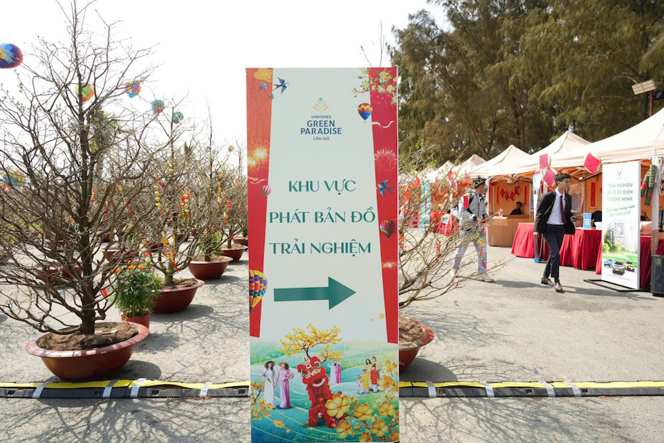 Ngắm khinh khí cầu, check-in mai cổ thụ 150 tuổi: Trải nghiệm Tết "có một không hai" tại Cần Giờ