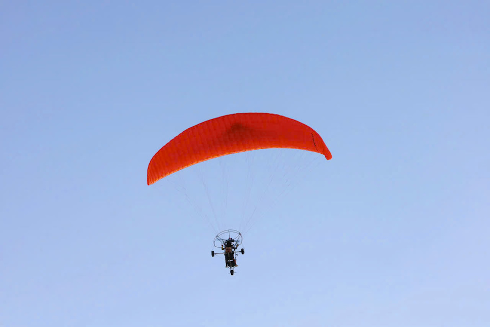 Ngắm khinh khí cầu, check-in mai cổ thụ 150 tuổi: Trải nghiệm Tết "có một không hai" tại Cần Giờ