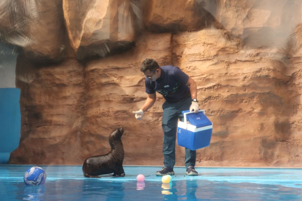 Hòn Tre bùng nổ mùa Tết với bộ ba siêu phẩm giải trí chưa từng có