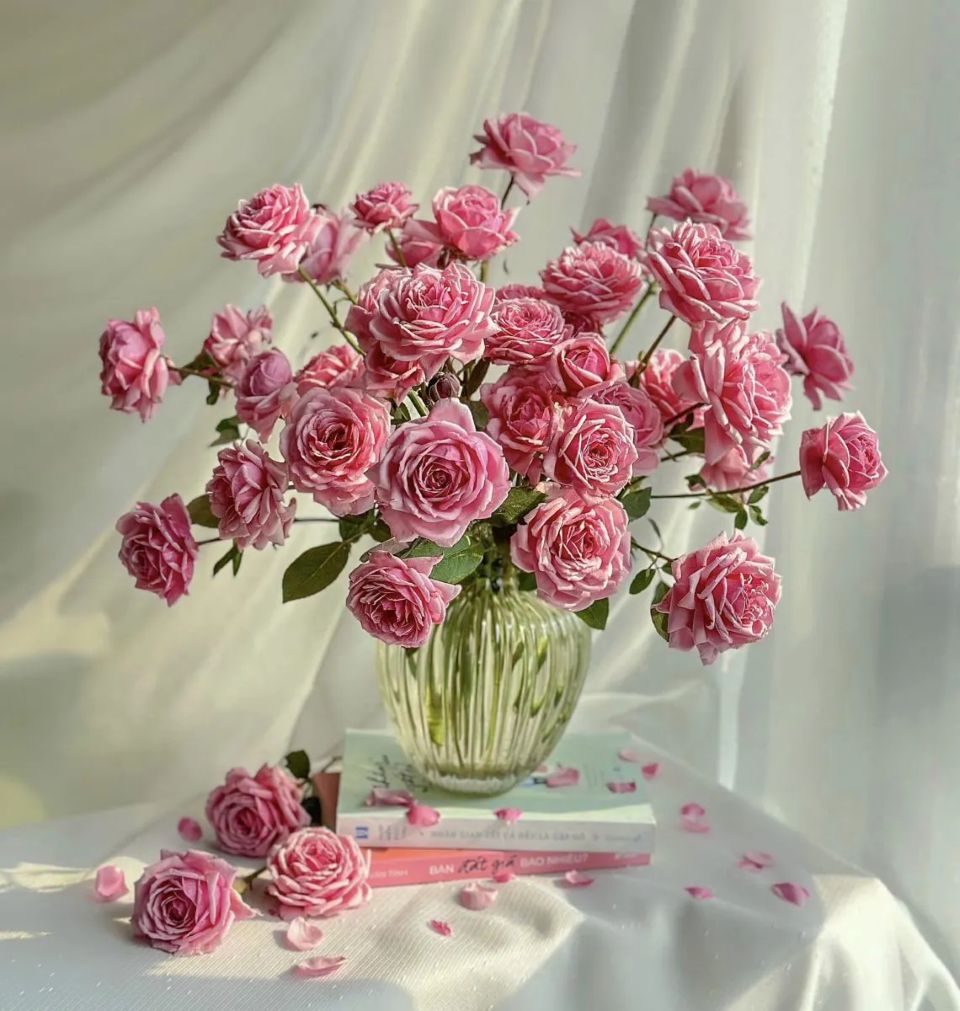 Tử vi ngày 20/2/2026 của 12 cung hoàng đạo: Song Ngư tài lộc khá tốt