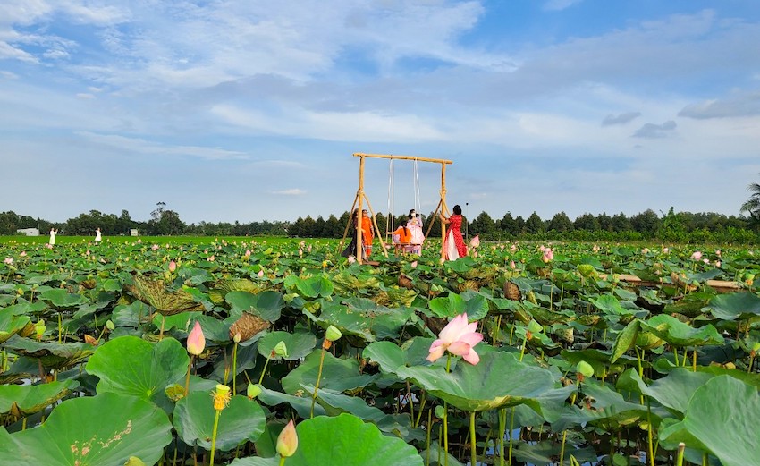 Biến vùng đất hoang hóa thành khu sinh thái miệt vườn để đền đáp quê hương