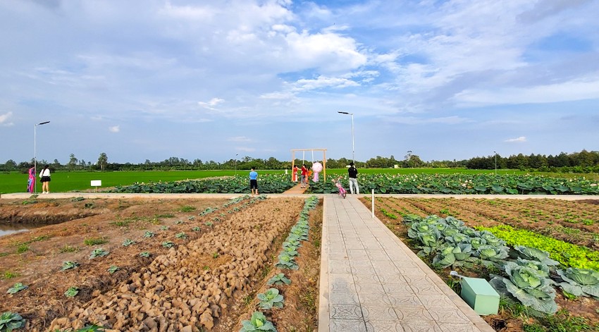 Biến vùng đất hoang hóa thành khu sinh thái miệt vườn để đền đáp quê hương