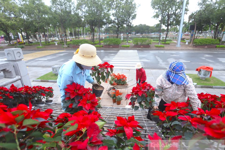 Công nhân tiếp tục sắp xếp các chậu hoa tươi đẹp, tạo điểm nhấn cho Festival.