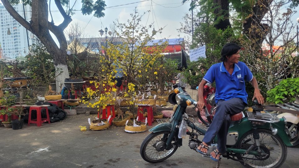 Hoa, cây kiểng bán ế những người chở thuê cũng mất thu nhập vì không có ai thuê. (Ảnh Hữu Tuấn)