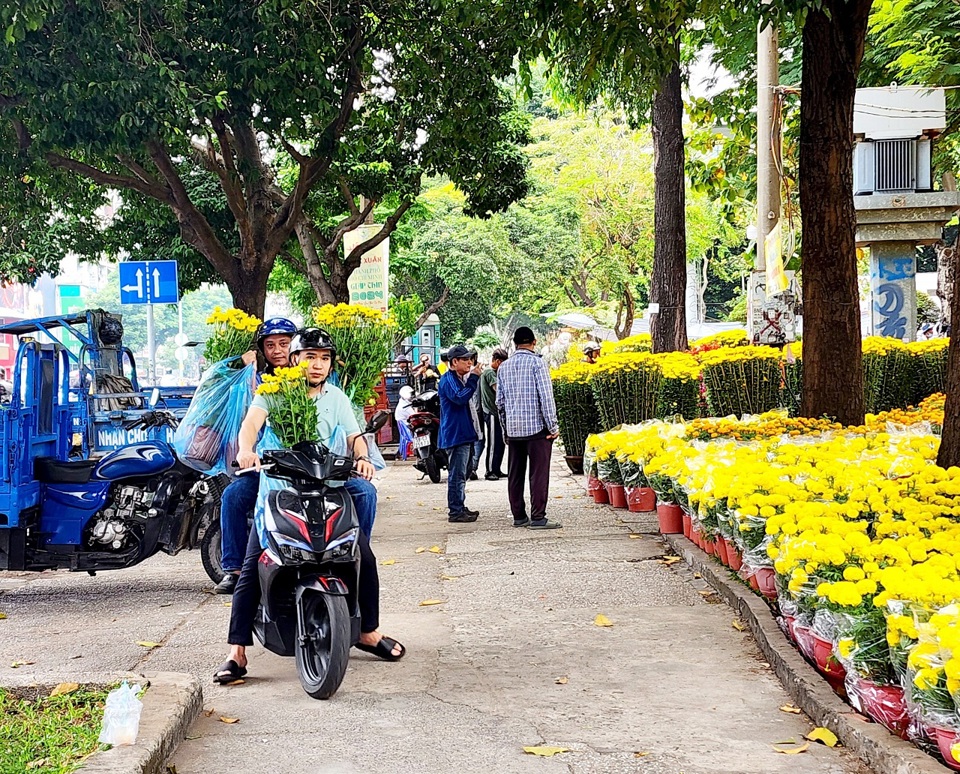 Đối với người miền Nam, màu vàng của hoa tượng trưng cho sự giàu sang, phú quý. Ngày Tết trưng hoa màu vàng sẽ có một năm phát tài, phát lộc